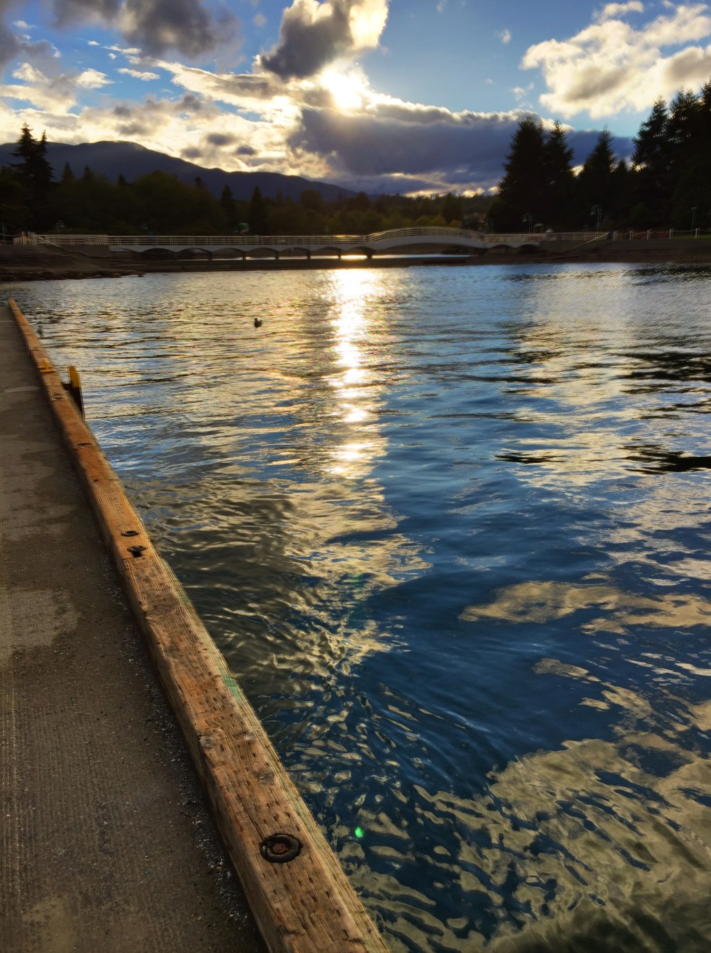 Photo: Late Summer in&nbsp;Nanaimo